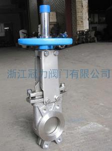 刀閘閥閘閥的專(zhuān)家！